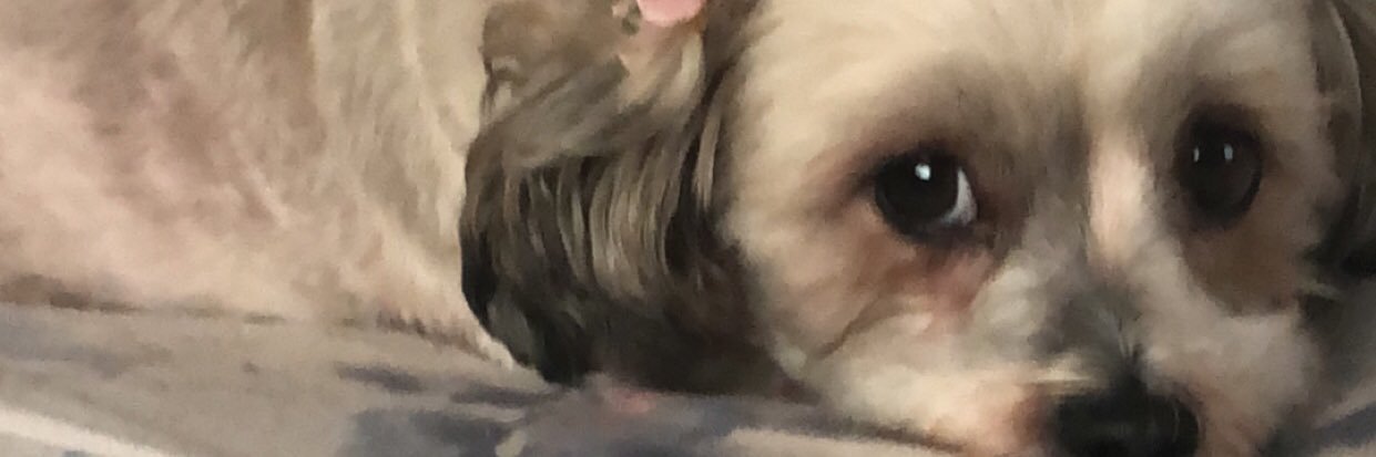 Ashley White banner