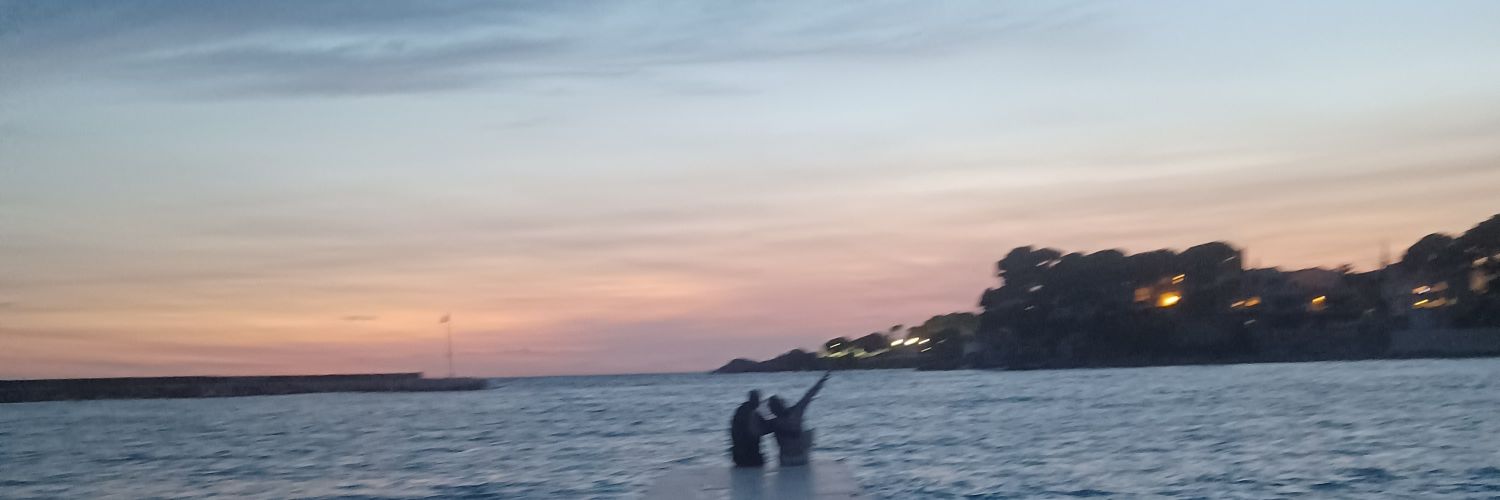 julie__fnt's profile banner image