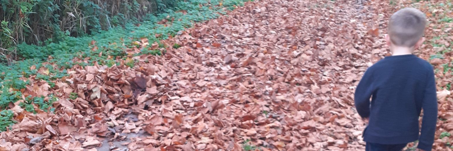 Florent.Deljehier banner