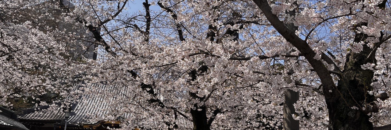 tomtmtsp's profile banner image