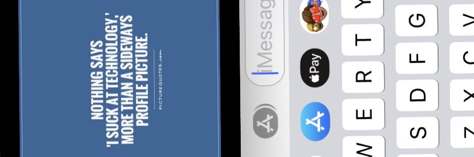 Who the hell hit the chicken switch? banner