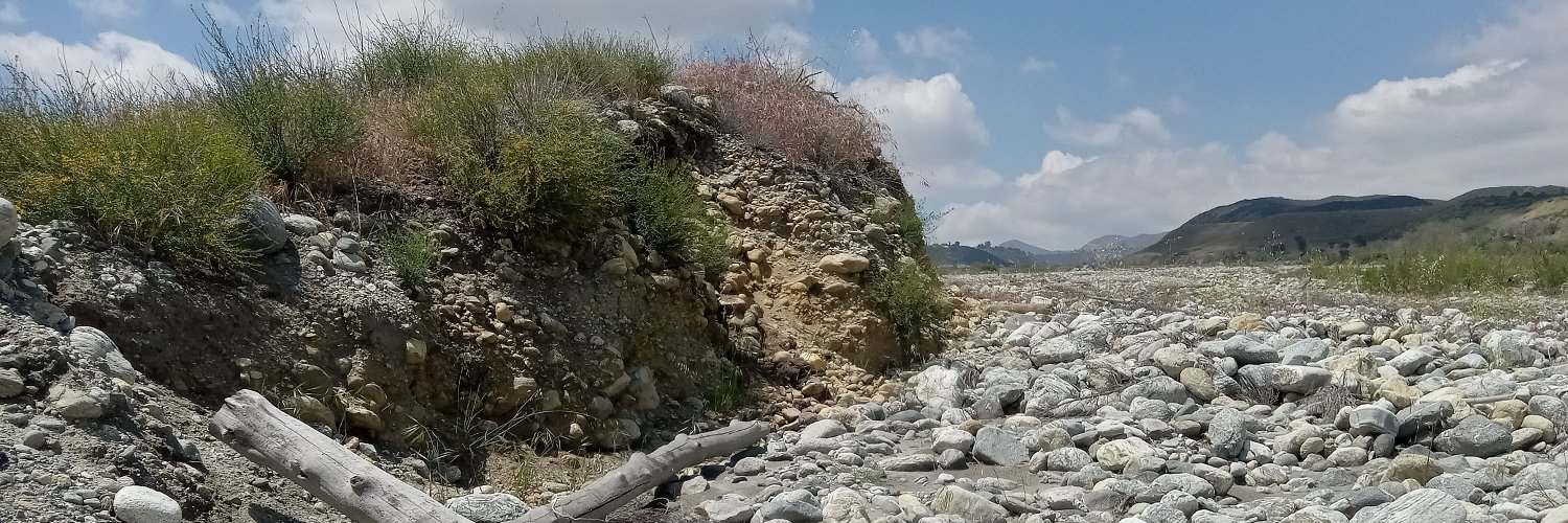 Beth Ann Bell banner