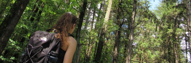 steph_chapes's profile banner image