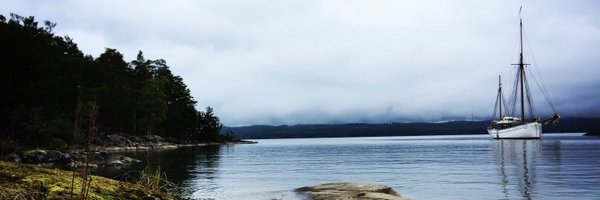 A_Scheel Profile Banner