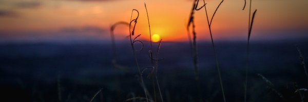 leandrodazo Profile Banner