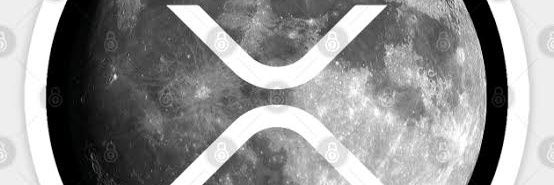 danibogerkill's profile banner image
