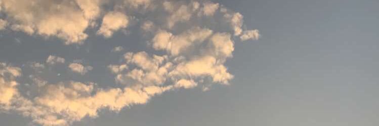 نـور banner