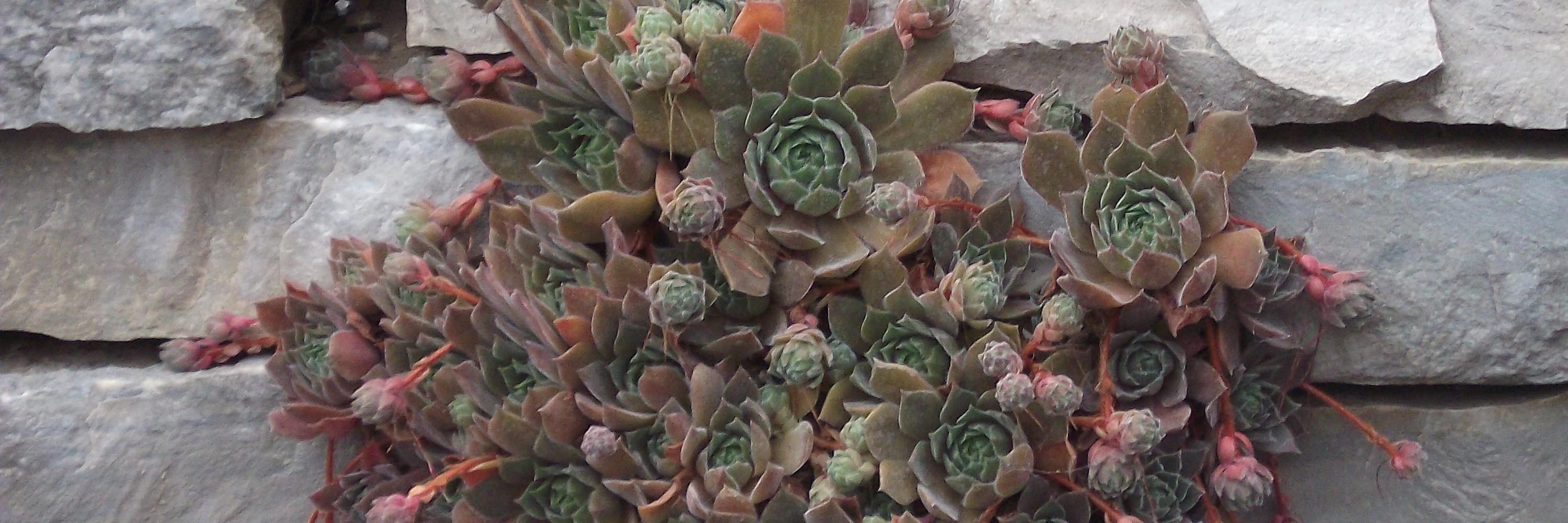 nobadtruth's profile banner image