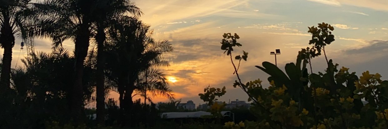 Fatima Hassan banner