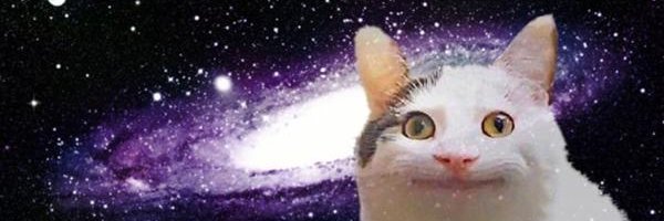 テストさん banner