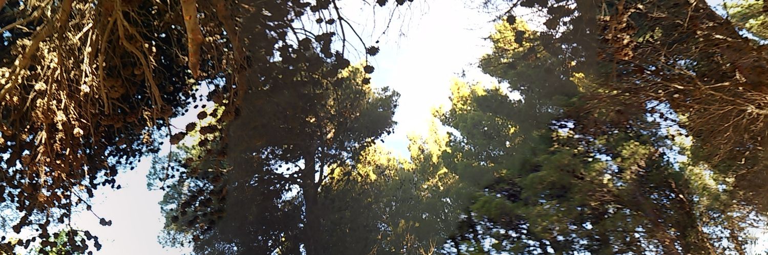 elmalditofunky's profile banner image
