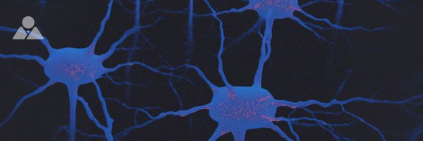 JakubNorkiewicz Profile Banner