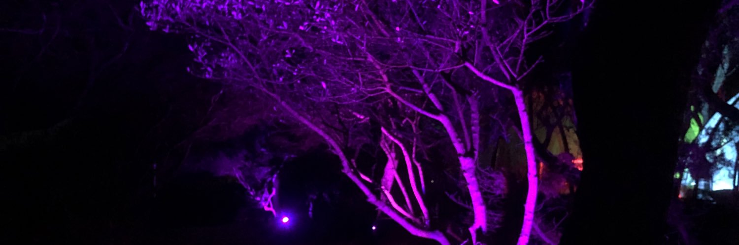 joaob59's profile banner image