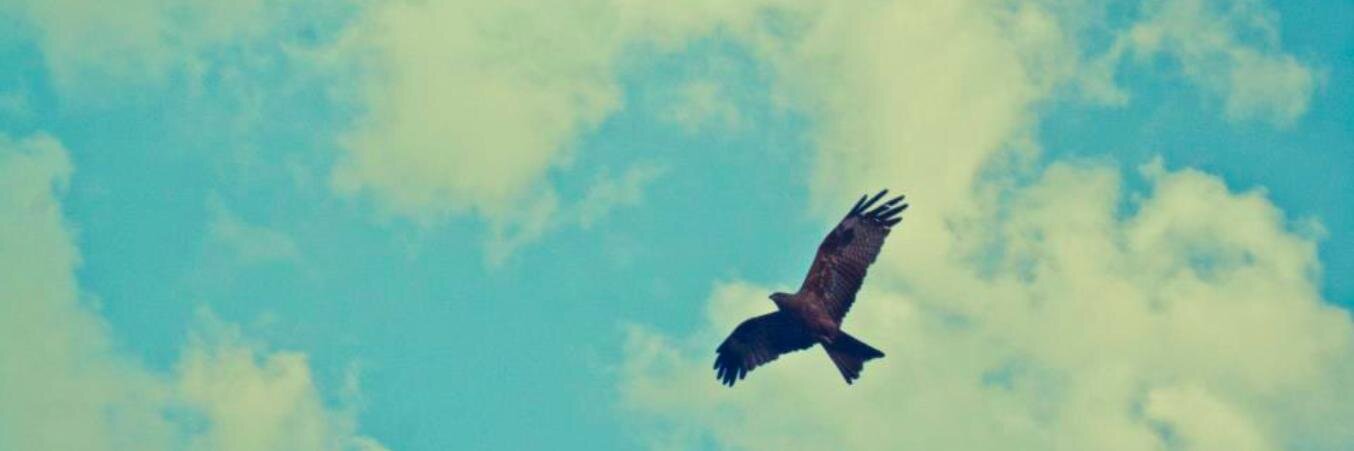 GypsyFeet_'s profile banner image