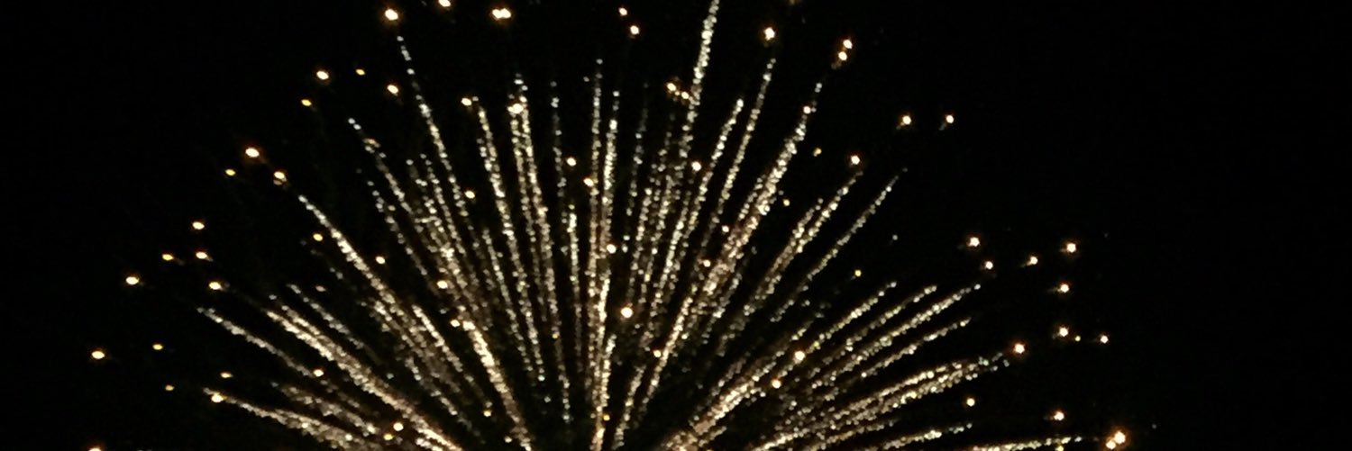 TSomerville2205's profile banner image