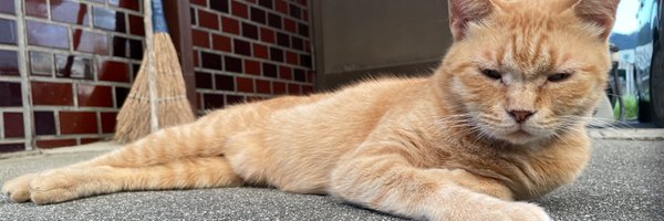 Nu75cc Profile Banner