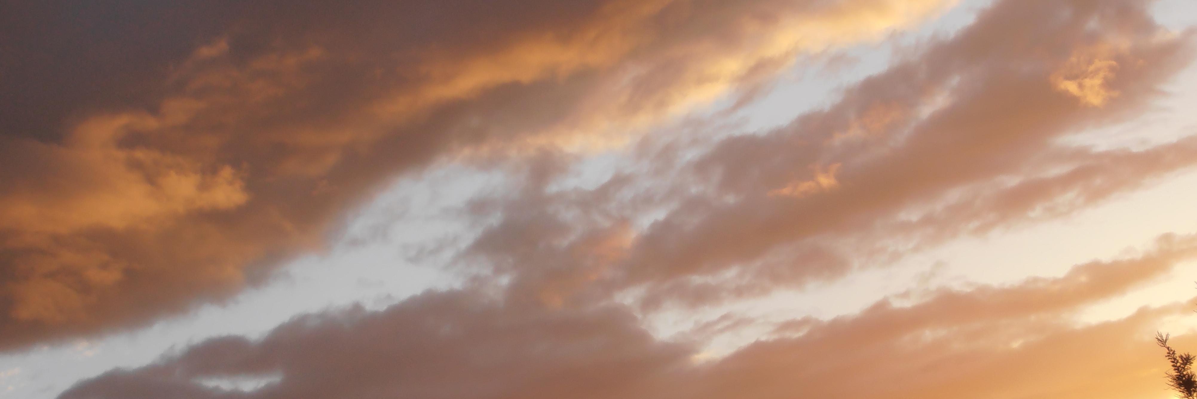 Lincearget's profile banner image