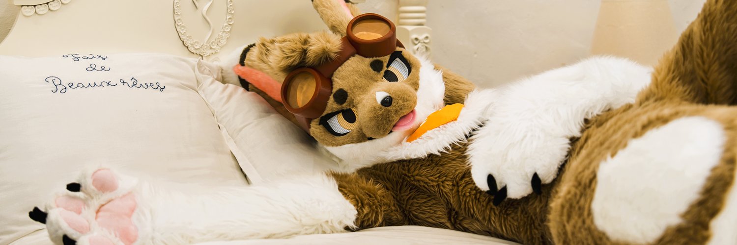 슈키/Syuki🐾🔜FurstClass banner