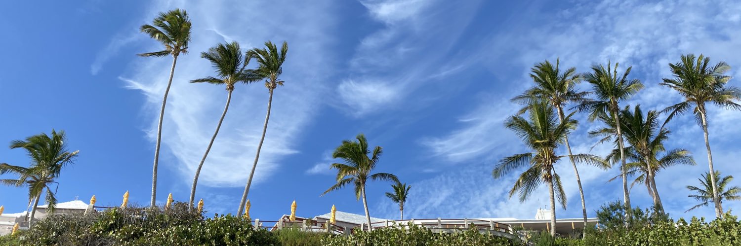 Clare O'Connor banner