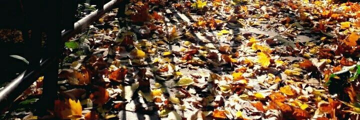 ebru___yldrm's profile banner image