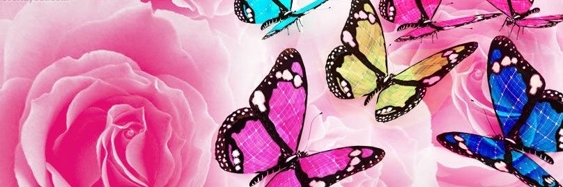 GraceVerou's profile banner image