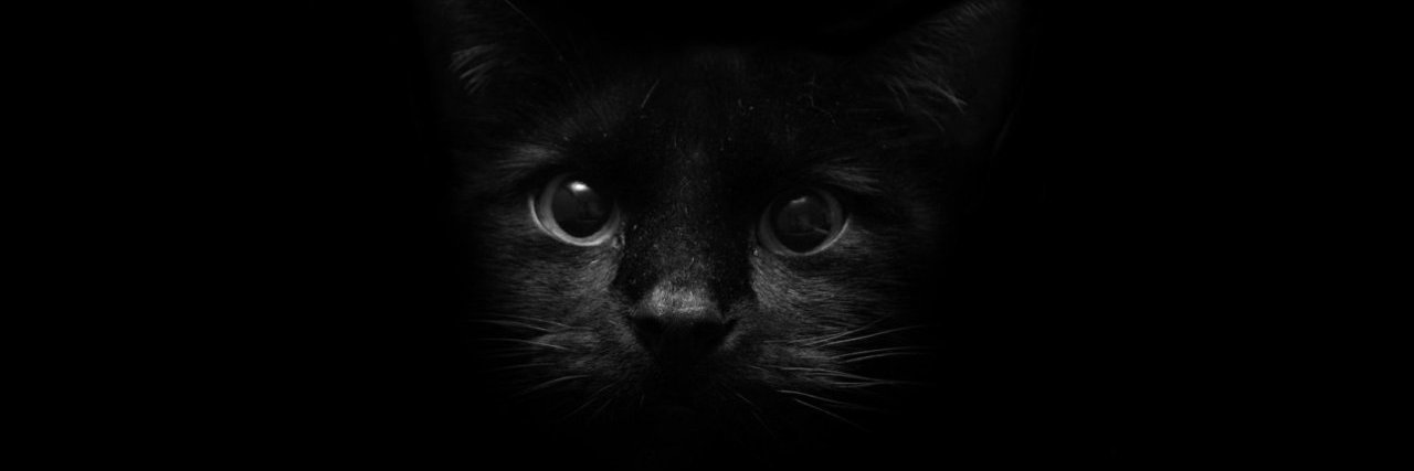 Zaorise_'s profile banner image