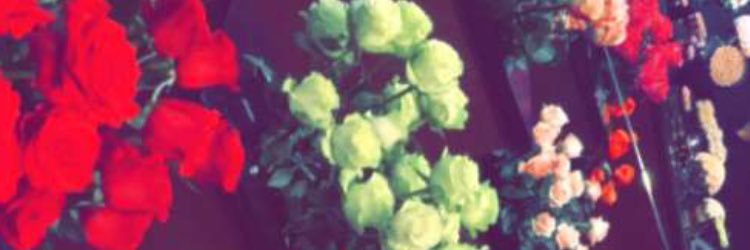 HaioofyKhalid's profile banner image