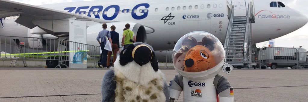 Perry the Peregrine banner