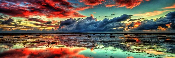 NiftyNewb21 Profile Banner