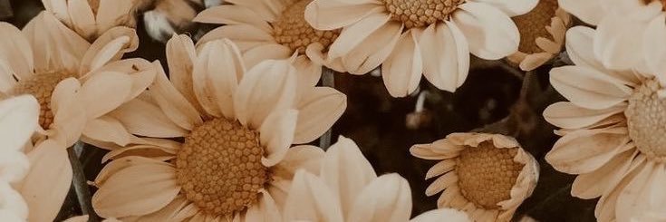 robean98's profile banner image