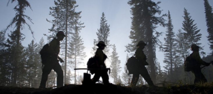 danieldlgu's profile banner image