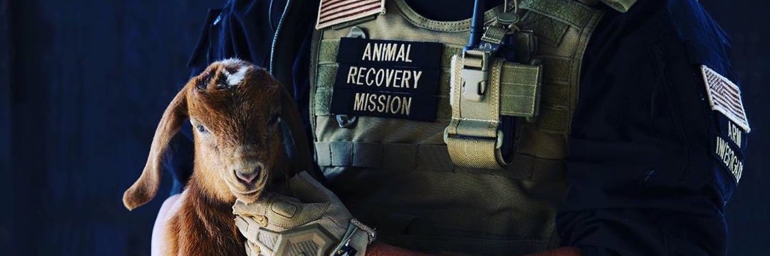 ARM Investigations banner