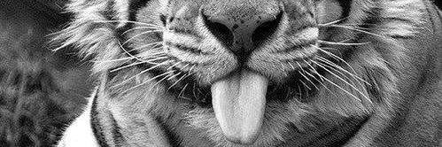maddy19malik's profile banner image
