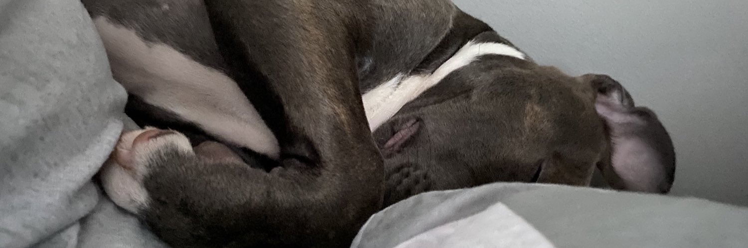 ax0__'s profile banner image