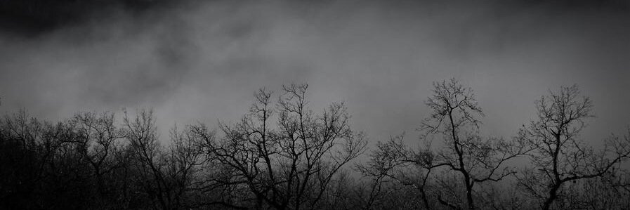 Andresilloo's profile banner image