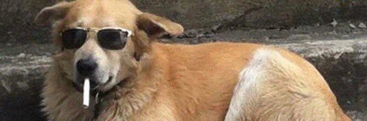 emeauxboy's profile banner image