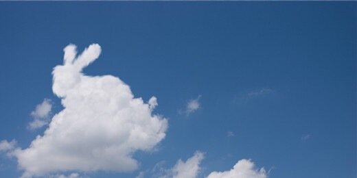 Gatoconsal's profile banner image