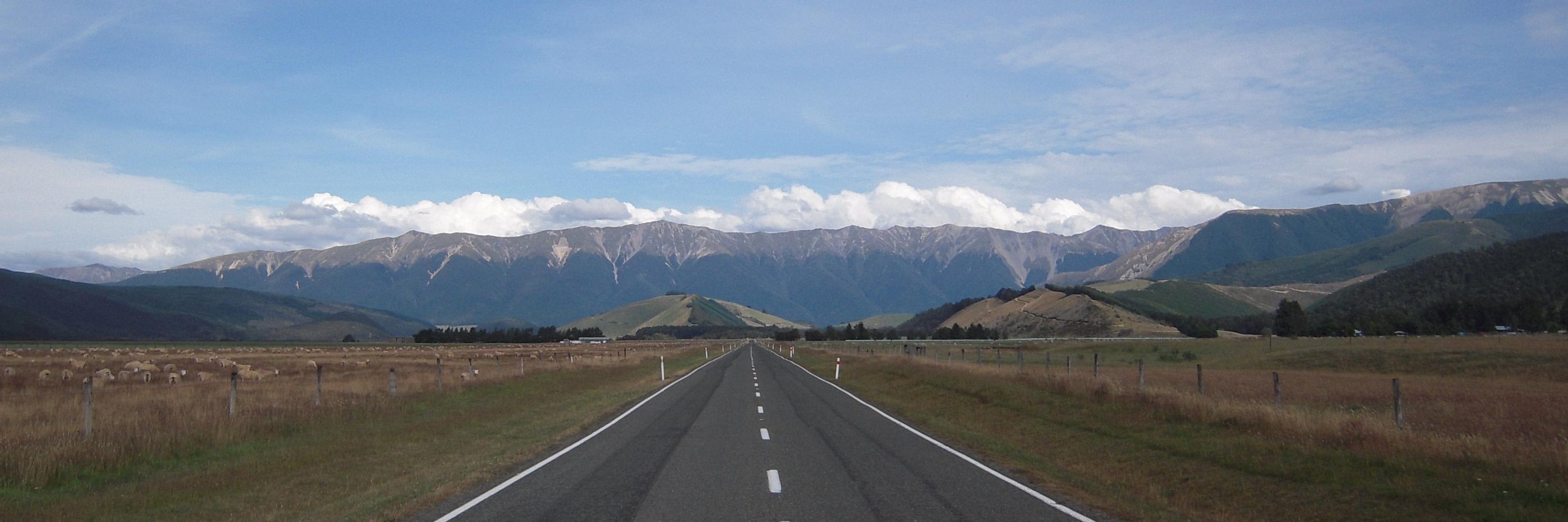 Tomasz Pluskiewicz banner