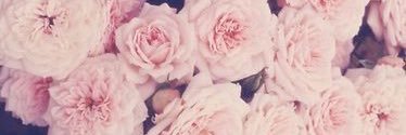ChloweRoussille's profile banner image