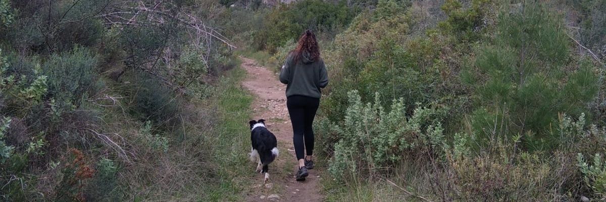 RocioR_7's profile banner image