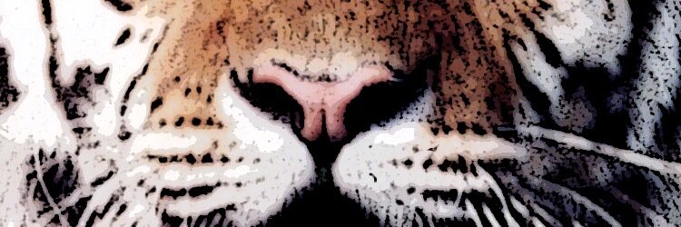 yesigiveadamn's profile banner image