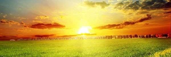 sunita panwar banner