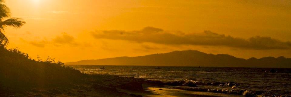liyam's profile banner image