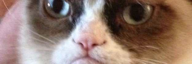 robarroga's profile banner image