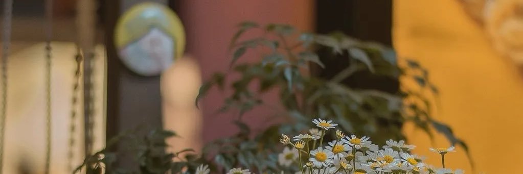 Tinanoona's profile banner image