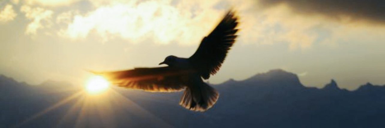 ممدوح التويجري🇸🇦 banner