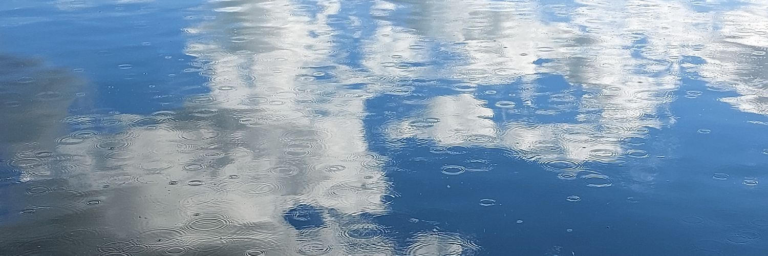 ChristineLeD's profile banner image