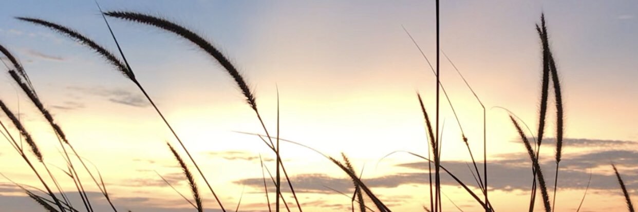Pelajarian's profile banner image