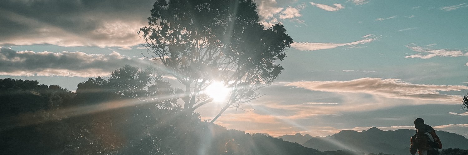 ɴɪᴄᴋꜱᴏɴ 🐬 banner