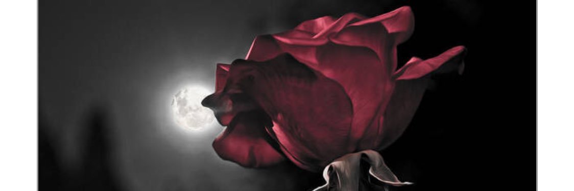 Black_Mourning's profile banner image